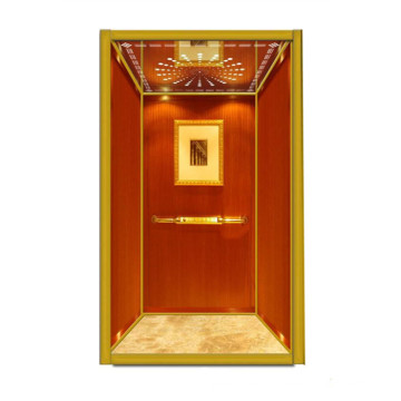 Comfortable Small Hotel Passenger Elevator